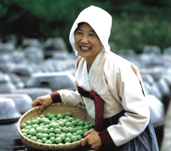 홍쌍리 청매실 